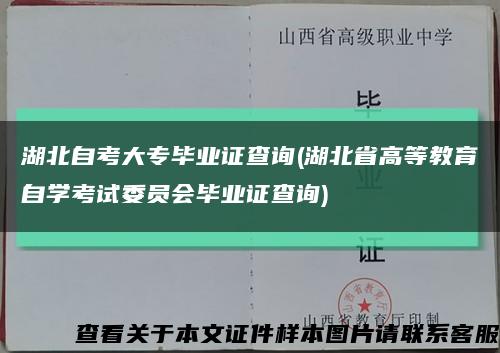 湖北自考大专毕业证查询(湖北省高等教育自学考试委员会毕业证查询)缩略图
