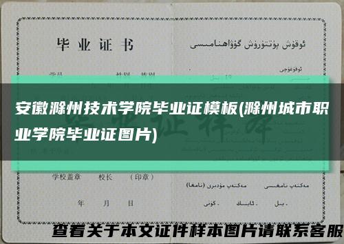 安徽滁州技术学院毕业证模板(滁州城市职业学院毕业证图片)缩略图