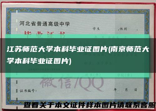 江苏师范大学本科毕业证图片(南京师范大学本科毕业证图片)缩略图
