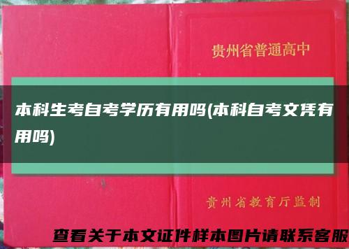本科生考自考学历有用吗(本科自考文凭有用吗)缩略图