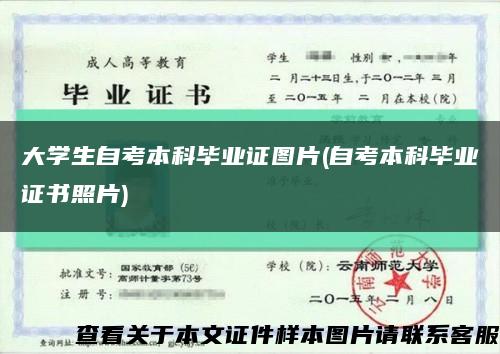 大学生自考本科毕业证图片(自考本科毕业证书照片)缩略图