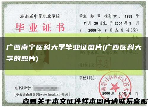 广西南宁医科大学毕业证图片(广西医科大学的照片)缩略图
