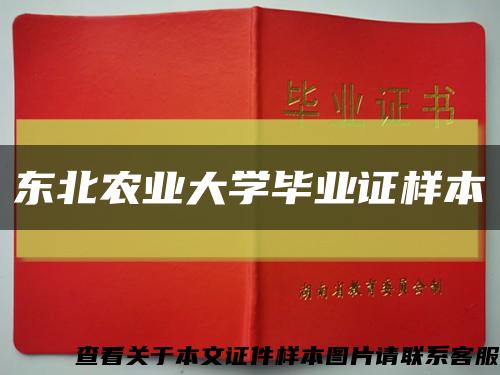 东北农业大学毕业证样本缩略图