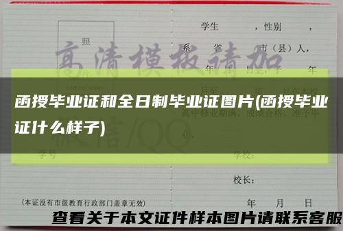 函授毕业证和全日制毕业证图片(函授毕业证什么样子)缩略图