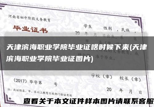 天津滨海职业学院毕业证啥时候下来(天津滨海职业学院毕业证图片)缩略图