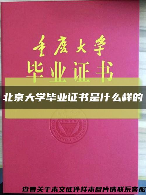 北京大学毕业证书是什么样的缩略图