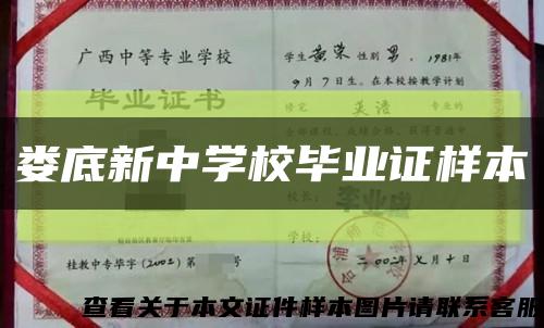 娄底新中学校毕业证样本缩略图