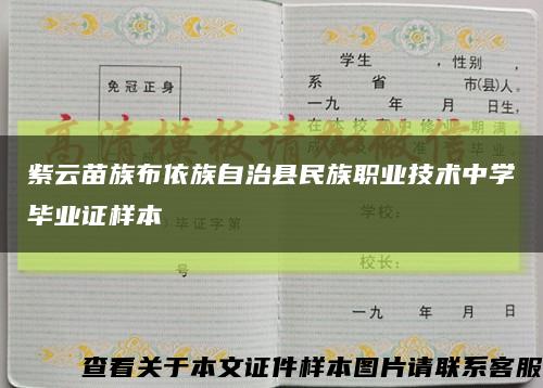 紫云苗族布依族自治县民族职业技术中学毕业证样本缩略图