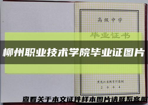 柳州职业技术学院毕业证图片缩略图