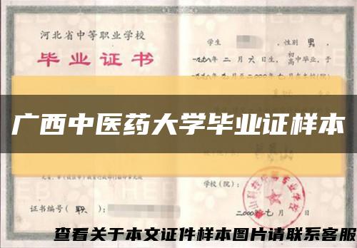广西中医药大学毕业证样本缩略图