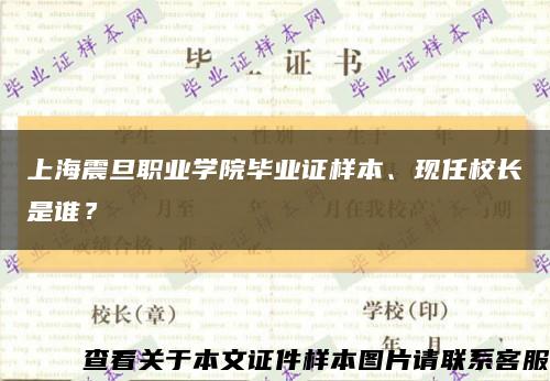 上海震旦职业学院毕业证样本、现任校长是谁？缩略图