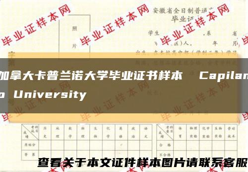加拿大卡普兰诺大学毕业证书样本  Capilano University缩略图