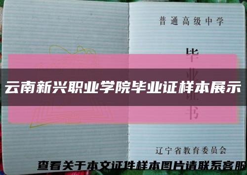 云南新兴职业学院毕业证样本展示缩略图