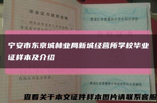 宁安市东京城林业局新城经营所学校毕业证样本及介绍缩略图