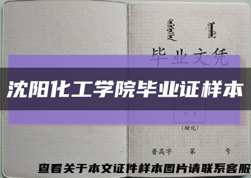 沈阳化工学院毕业证样本缩略图