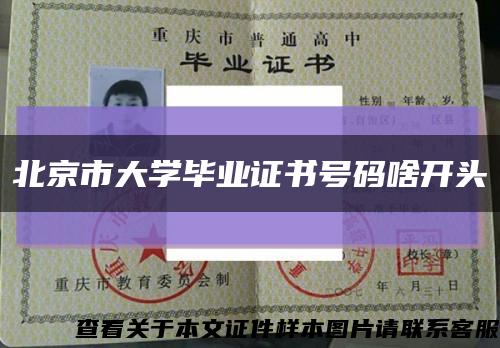 北京市大学毕业证书号码啥开头缩略图