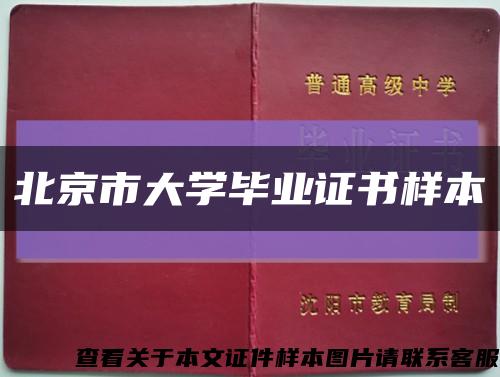 北京市大学毕业证书样本缩略图