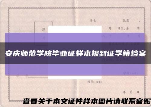 安庆师范学院毕业证样本报到证学籍档案缩略图