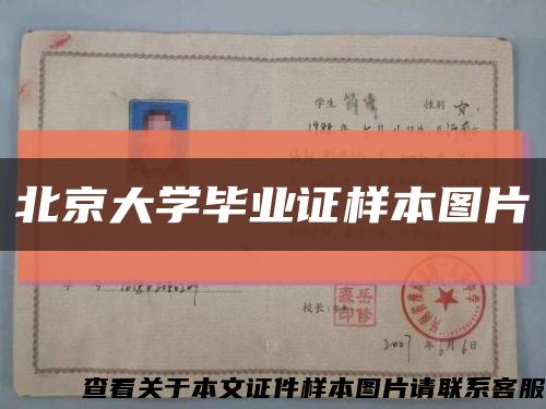 北京大学毕业证样本图片缩略图