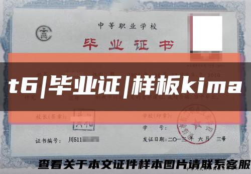 t6|毕业证|样板kima缩略图
