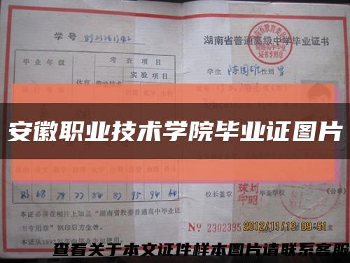 安徽职业技术学院毕业证图片缩略图