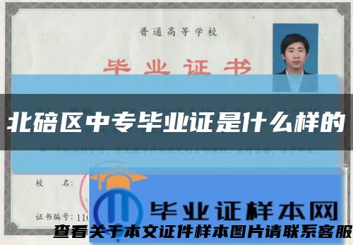 北碚区中专毕业证是什么样的缩略图