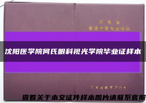沈阳医学院何氏眼科视光学院毕业证样本缩略图