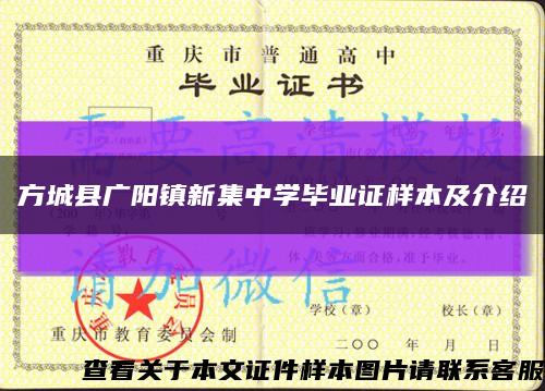 方城县广阳镇新集中学毕业证样本及介绍缩略图