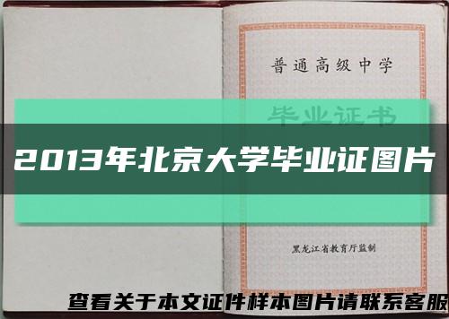 2013年北京大学毕业证图片缩略图
