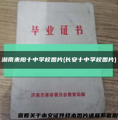 湖南耒阳十中学校图片(长安十中学校图片)缩略图