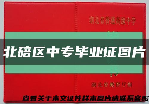 北碚区中专毕业证图片缩略图