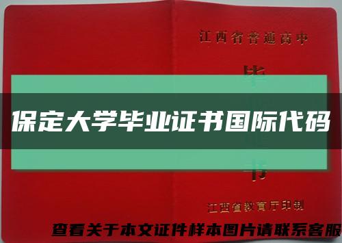 保定大学毕业证书国际代码缩略图