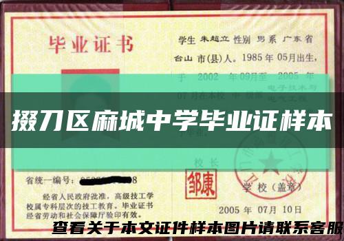 掇刀区麻城中学毕业证样本缩略图