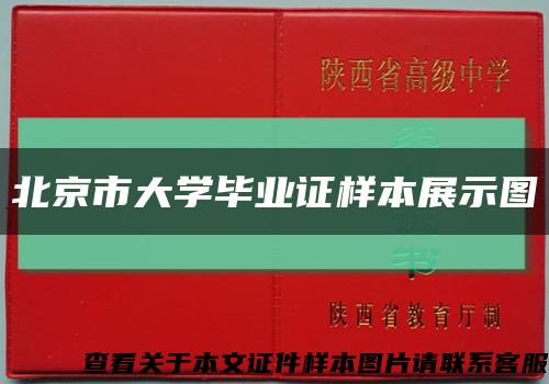 北京市大学毕业证样本展示图缩略图