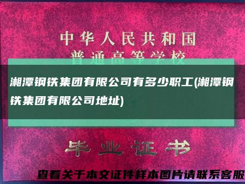 湘潭钢铁集团有限公司有多少职工(湘潭钢铁集团有限公司地址)缩略图