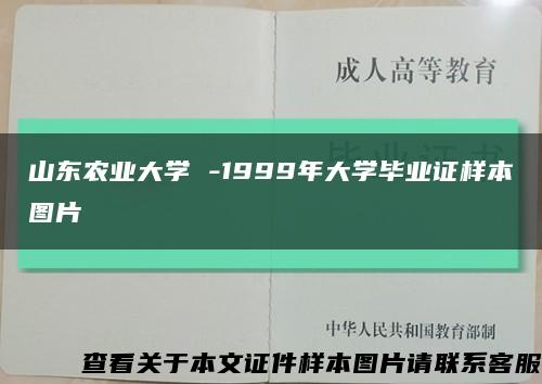 山东农业大学 -1999年大学毕业证样本图片缩略图