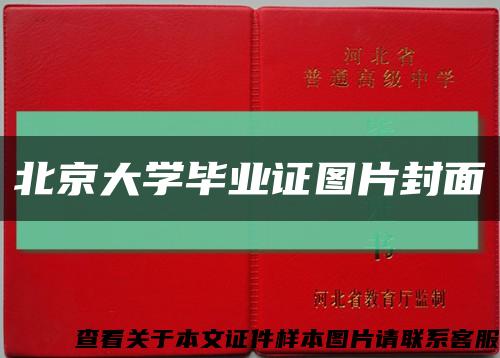 北京大学毕业证图片封面缩略图
