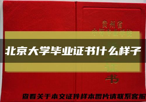 北京大学毕业证书什么样子缩略图