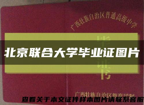 北京联合大学毕业证图片缩略图