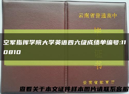 空军指挥学院大学英语四六级成绩单编号:110810缩略图