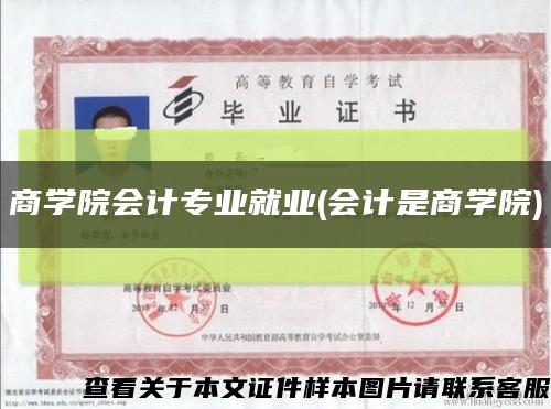 商学院会计专业就业(会计是商学院)缩略图