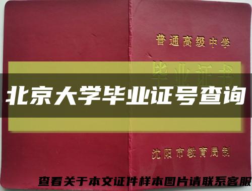 北京大学毕业证号查询缩略图
