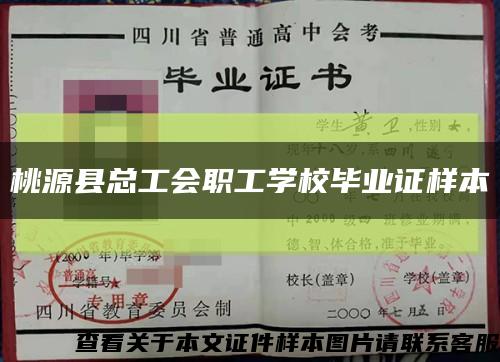 桃源县总工会职工学校毕业证样本缩略图