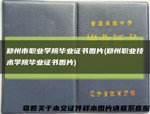 郑州市职业学院毕业证书图片(郑州职业技术学院毕业证书图片)缩略图