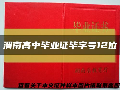 渭南高中毕业证毕字号12位缩略图