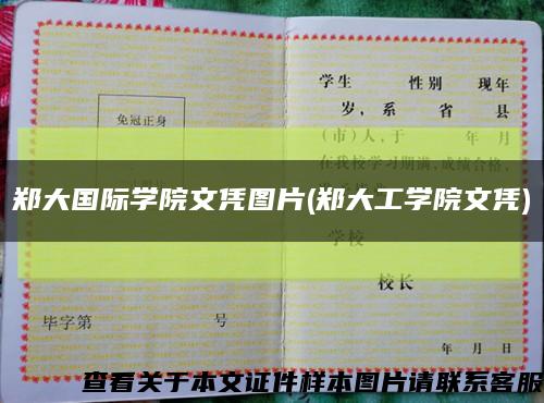 郑大国际学院文凭图片(郑大工学院文凭)缩略图
