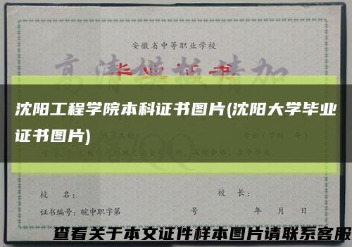 沈阳工程学院本科证书图片(沈阳大学毕业证书图片)缩略图