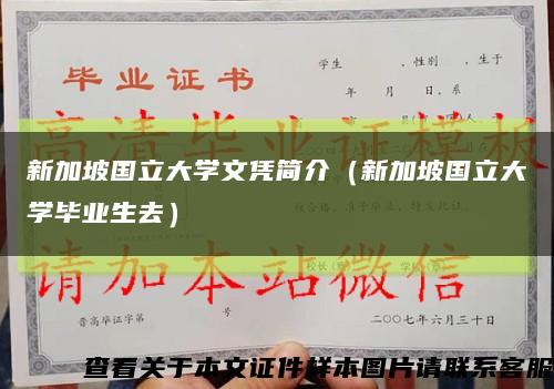 新加坡国立大学文凭简介（新加坡国立大学毕业生去）缩略图