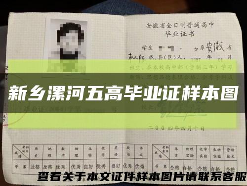 新乡漯河五高毕业证样本图缩略图