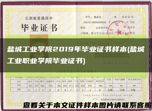 盐城工业学院2019年毕业证书样本(盐城工业职业学院毕业证书)缩略图
